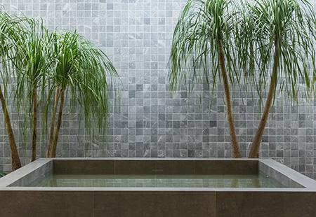 Decortiles/Eliane